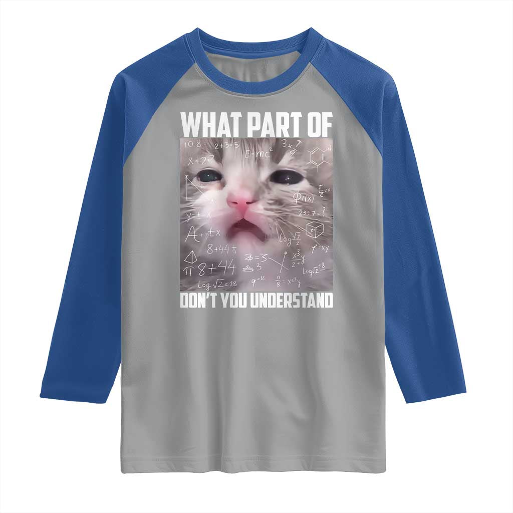 Funny Math Cat Lover Raglan Shirt What Part Of Do Not You Understand TS14 Sport Gray Royal Print Your Wear
