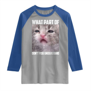 Funny Math Cat Lover Raglan Shirt What Part Of Do Not You Understand TS14 Sport Gray Royal Print Your Wear