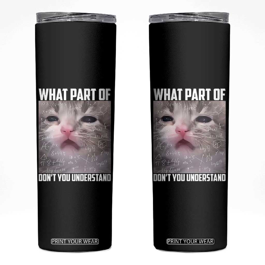 Funny Math Cat Lover Skinny Tumbler What Part Of Do Not You Understand TS14 Black Print Your Wear