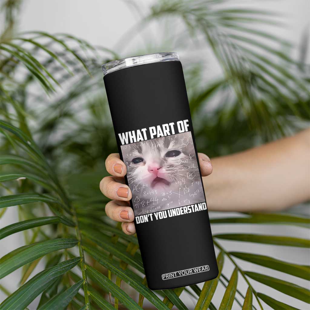 Funny Math Cat Lover Skinny Tumbler What Part Of Do Not You Understand TS14 Print Your Wear
