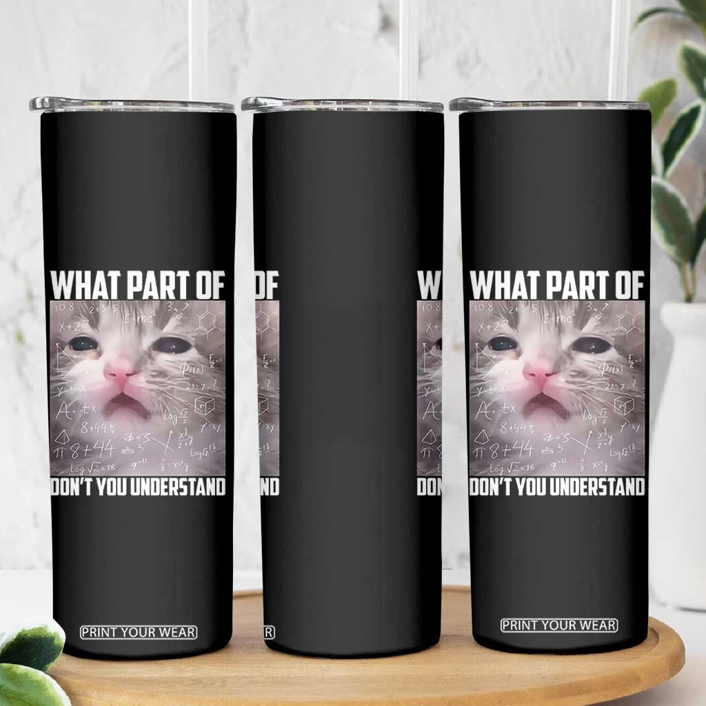 Funny Math Cat Lover Skinny Tumbler What Part Of Do Not You Understand TS14 Print Your Wear