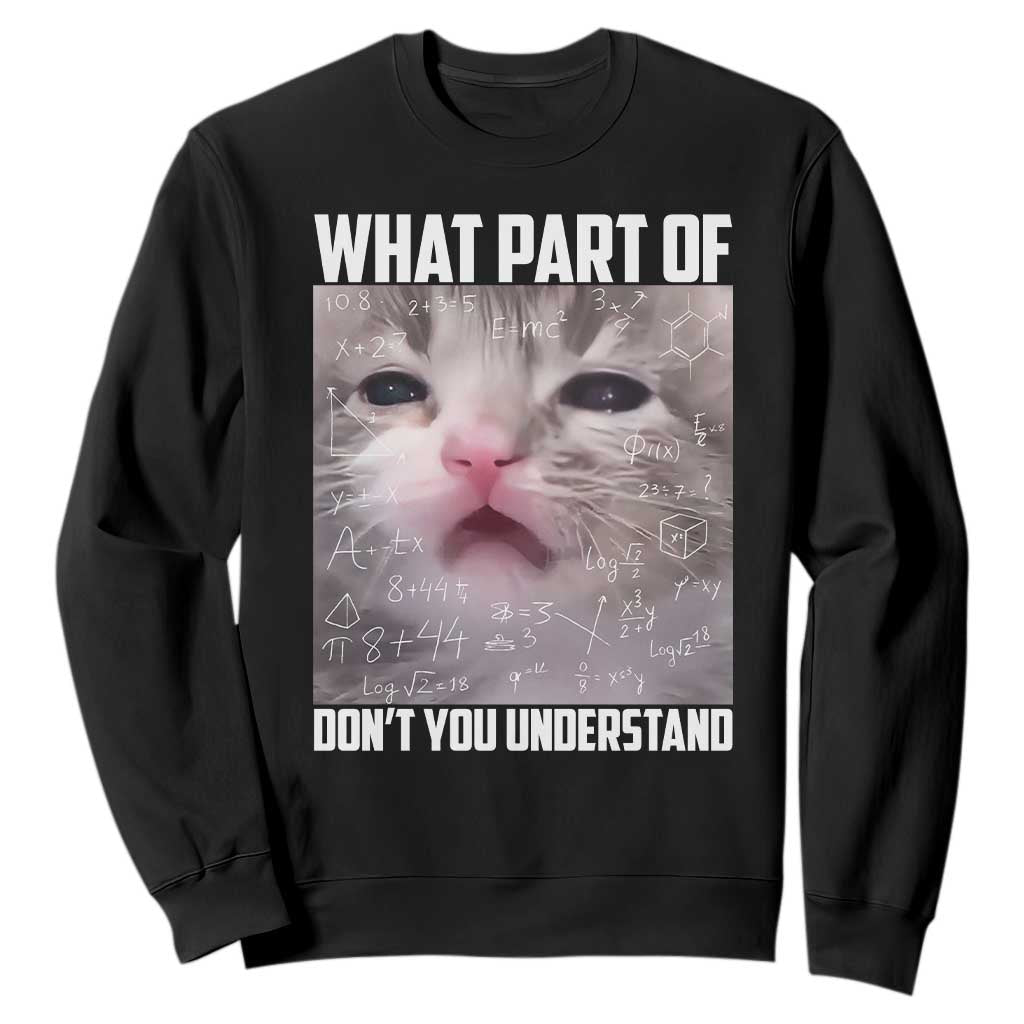 Funny Math Cat Lover Sweatshirt What Part Of Do Not You Understand TS14 Black Print Your Wear
