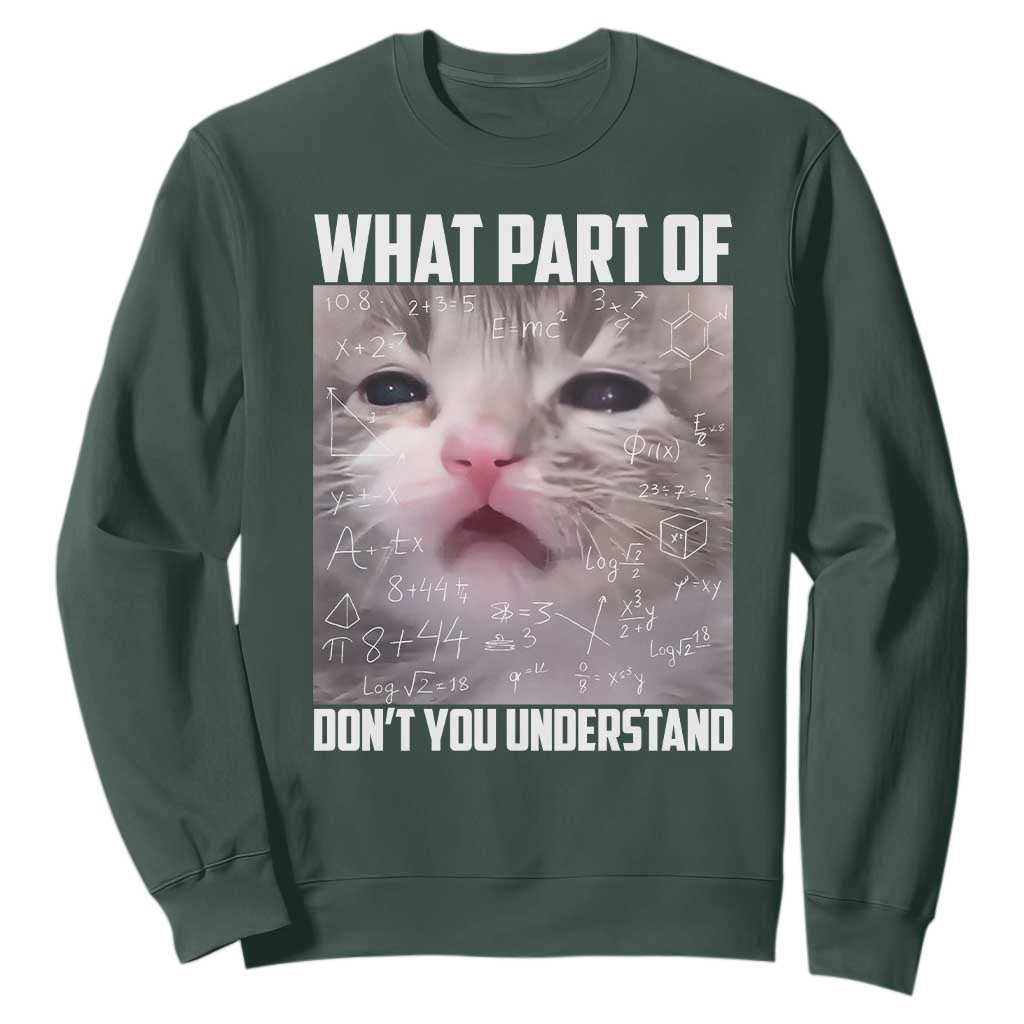 Funny Math Cat Lover Sweatshirt What Part Of Do Not You Understand TS14 Dark Forest Green Print Your Wear