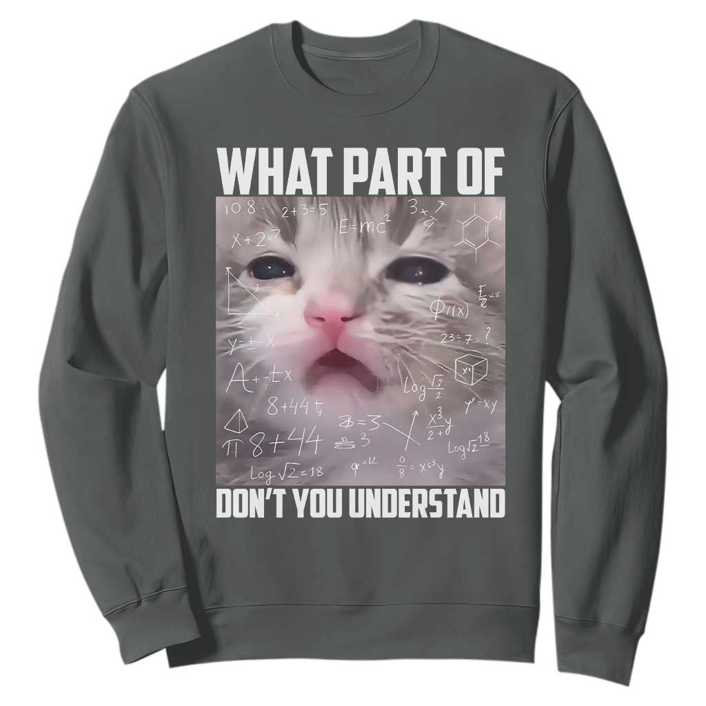 Funny Math Cat Lover Sweatshirt What Part Of Do Not You Understand TS14 Dark Heather Print Your Wear
