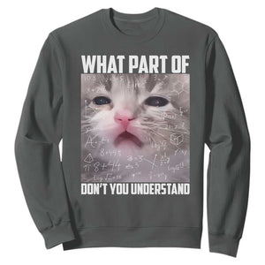 Funny Math Cat Lover Sweatshirt What Part Of Do Not You Understand TS14 Dark Heather Print Your Wear