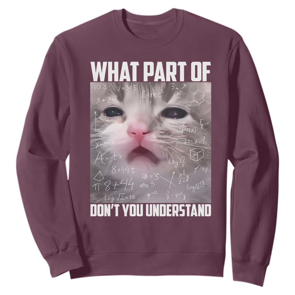Funny Math Cat Lover Sweatshirt What Part Of Do Not You Understand TS14 Maroon Print Your Wear