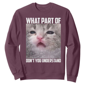 Funny Math Cat Lover Sweatshirt What Part Of Do Not You Understand TS14 Maroon Print Your Wear