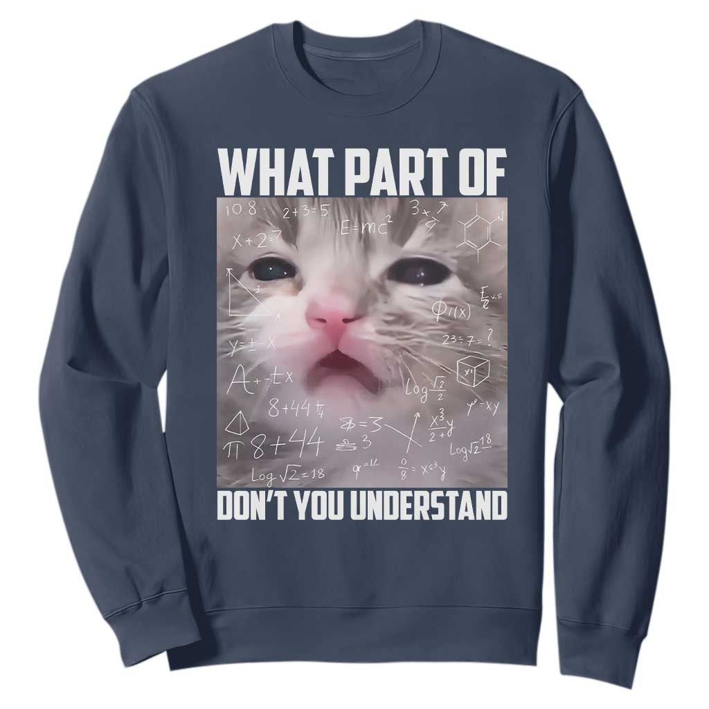 Funny Math Cat Lover Sweatshirt What Part Of Do Not You Understand TS14 Navy Print Your Wear