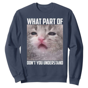 Funny Math Cat Lover Sweatshirt What Part Of Do Not You Understand TS14 Navy Print Your Wear