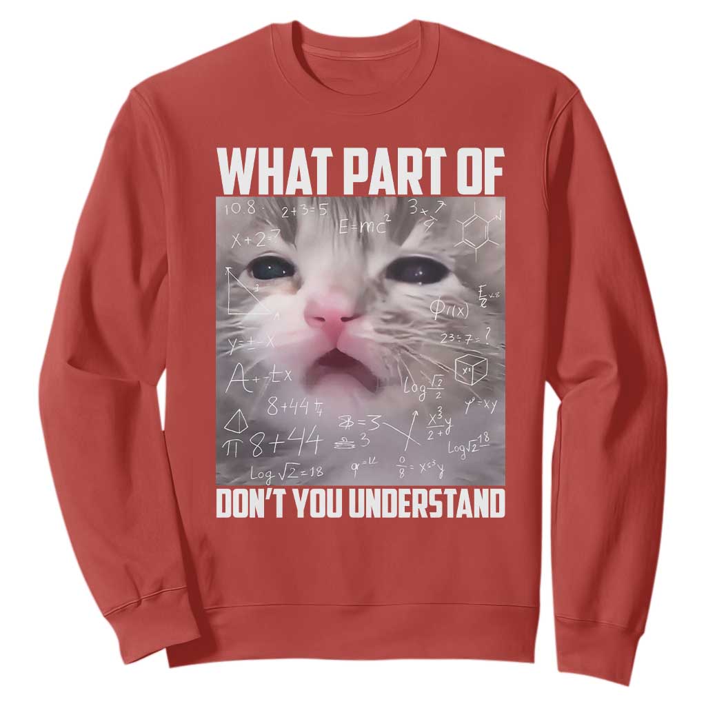 Funny Math Cat Lover Sweatshirt What Part Of Do Not You Understand TS14 Red Print Your Wear