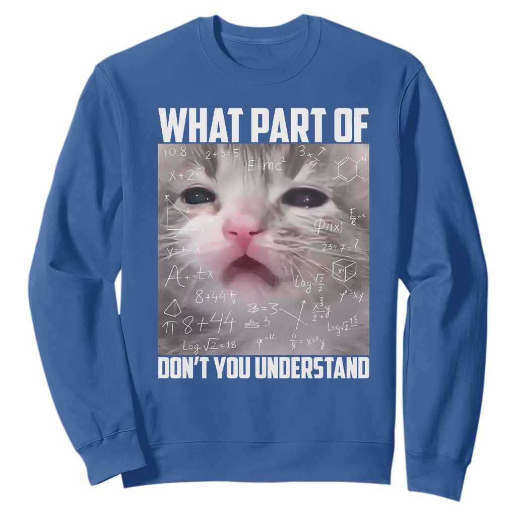 Funny Math Cat Lover Sweatshirt What Part Of Do Not You Understand TS14 Royal Blue Print Your Wear