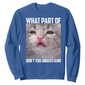Funny Math Cat Lover Sweatshirt What Part Of Do Not You Understand TS14 Royal Blue Print Your Wear