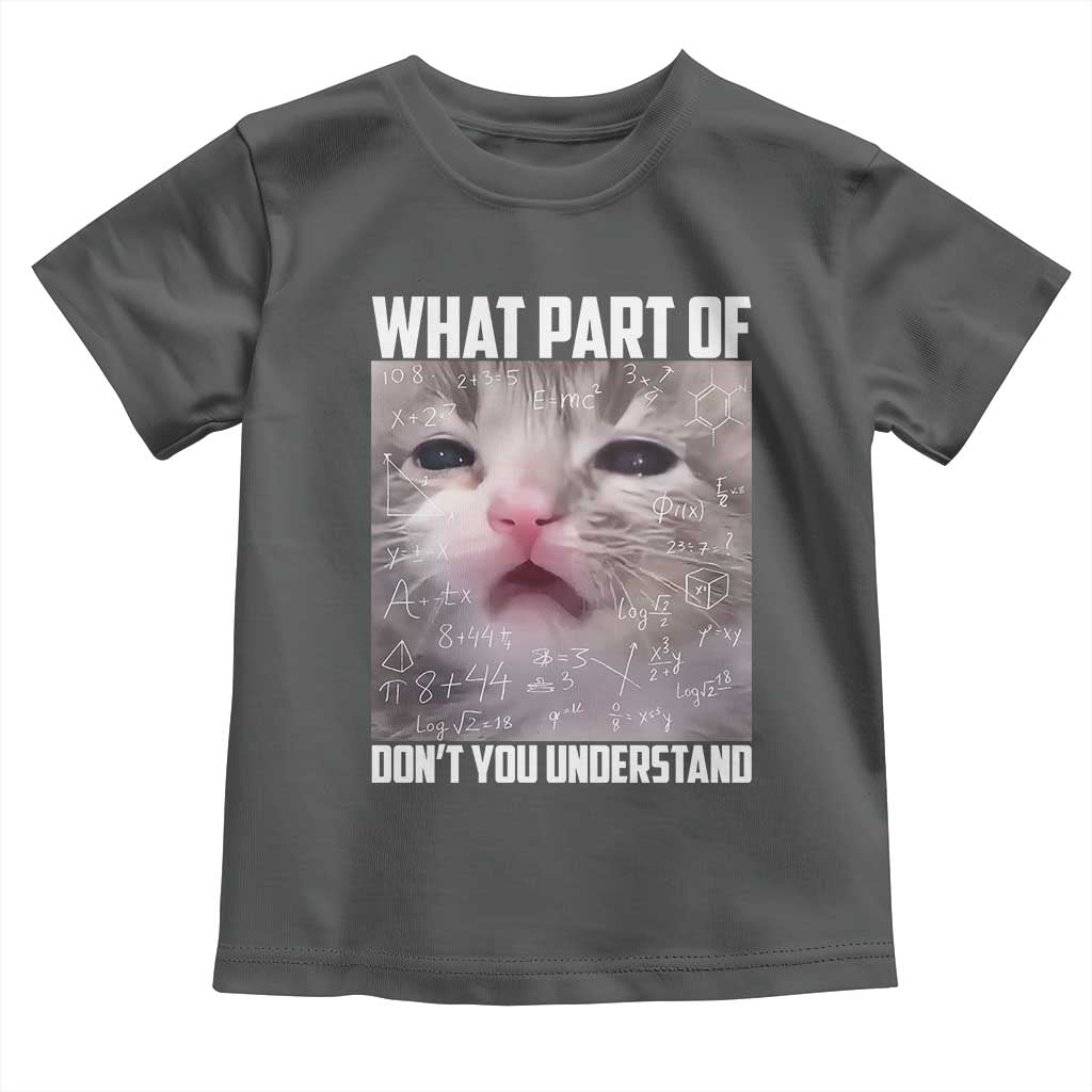 Funny Math Cat Lover Toddler T Shirt What Part Of Do Not You Understand TS14 Dark Heather Print Your Wear