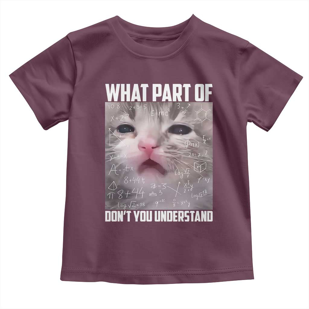 Funny Math Cat Lover Toddler T Shirt What Part Of Do Not You Understand TS14 Maroon Print Your Wear