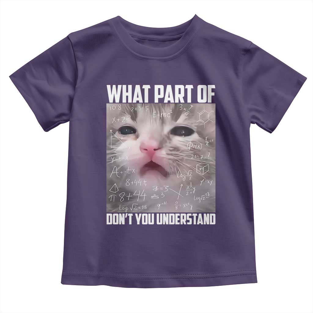 Funny Math Cat Lover Toddler T Shirt What Part Of Do Not You Understand TS14 Purple Print Your Wear