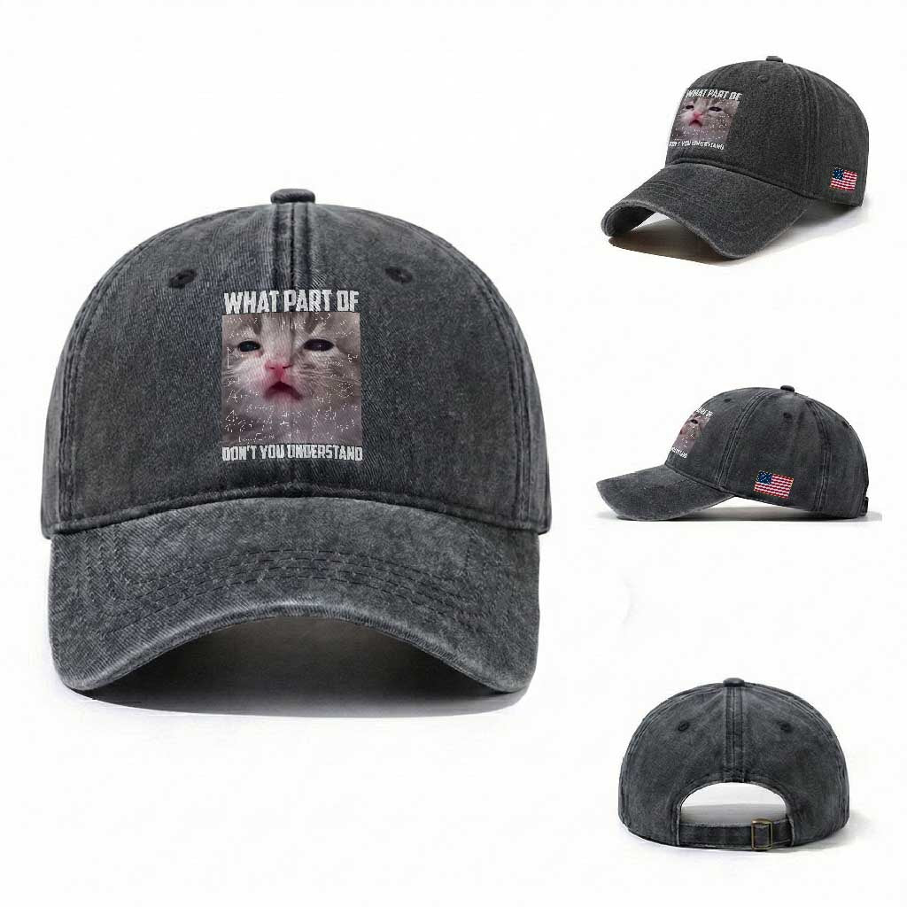 Funny Math Cat Lover Washed Cotton Baseball Cap What Part Of Do Not You Understand TS14 Washed Cap Universal Fit Dark Gray Print Your Wear