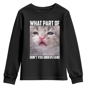Funny Math Cat Lover Youth Sweatshirt What Part Of Do Not You Understand TS14 Black Print Your Wear