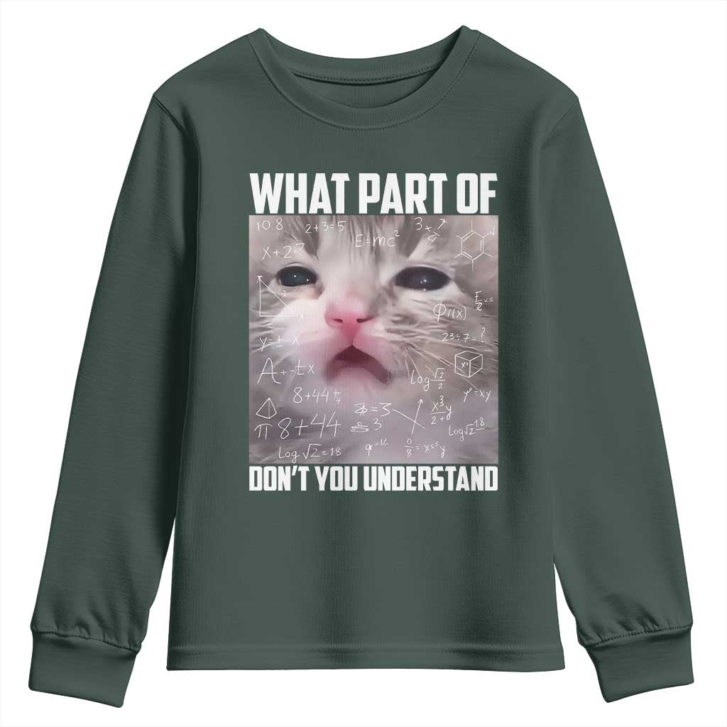 Funny Math Cat Lover Youth Sweatshirt What Part Of Do Not You Understand TS14 Dark Forest Green Print Your Wear
