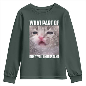 Funny Math Cat Lover Youth Sweatshirt What Part Of Do Not You Understand TS14 Dark Forest Green Print Your Wear