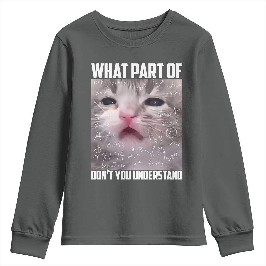 Funny Math Cat Lover Youth Sweatshirt What Part Of Do Not You Understand TS14 Dark Heather Print Your Wear