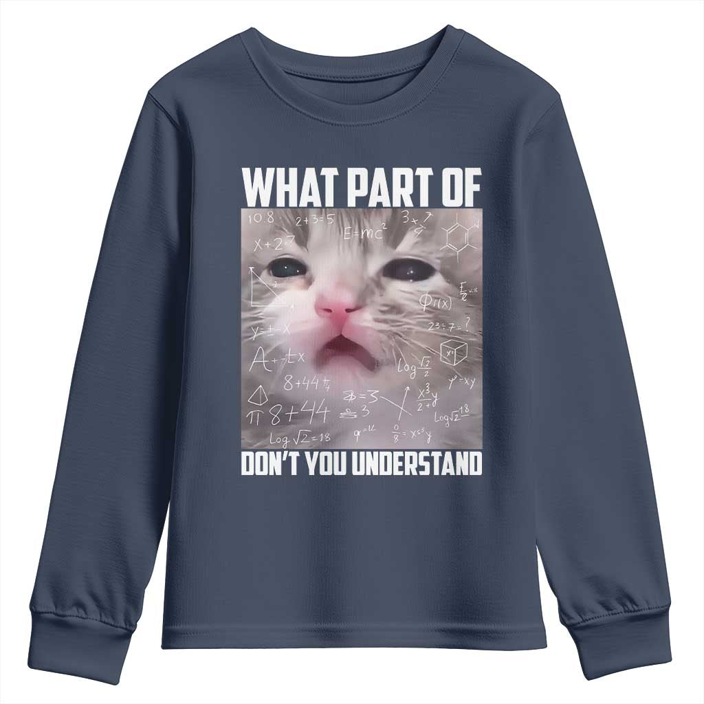 Funny Math Cat Lover Youth Sweatshirt What Part Of Do Not You Understand TS14 Navy Print Your Wear