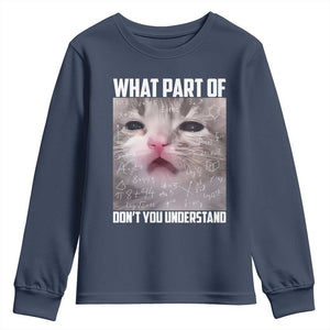 Funny Math Cat Lover Youth Sweatshirt What Part Of Do Not You Understand TS14 Navy Print Your Wear