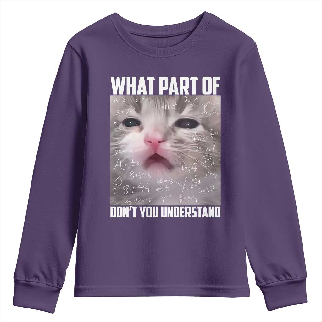 Funny Math Cat Lover Youth Sweatshirt What Part Of Do Not You Understand TS14 Purple Print Your Wear