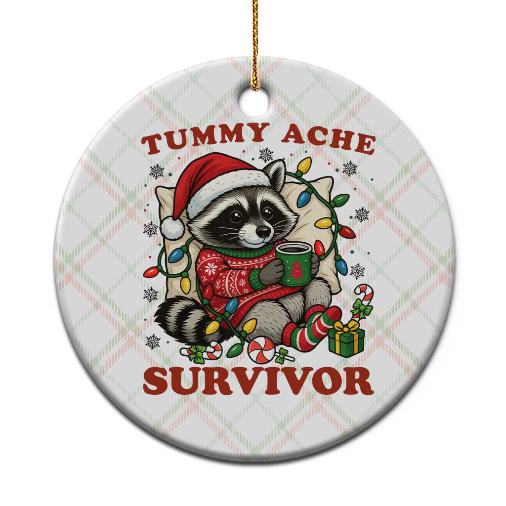 Funny Racoon Xmas Meme Ceramic Ornament Tummy Ache Survivor TS14 1pc Christmas Plaid Print Your Wear