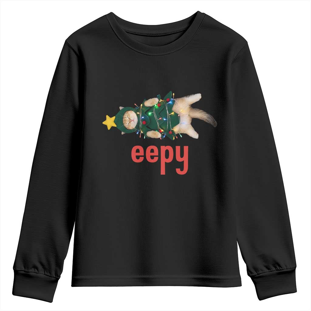 Cat Christmas Meme Youth Sweatshirt Eepy Kitten Silly Sleepy TS14 Black Print Your Wear