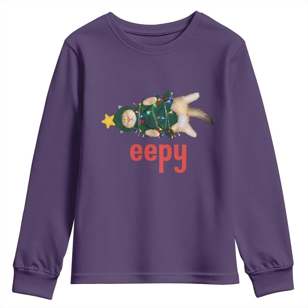 Cat Christmas Meme Youth Sweatshirt Eepy Kitten Silly Sleepy TS14 Purple Print Your Wear