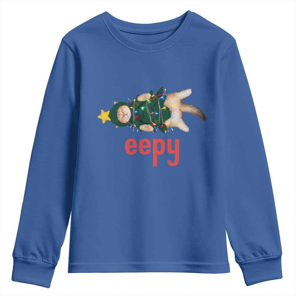 Cat Christmas Meme Youth Sweatshirt Eepy Kitten Silly Sleepy TS14 Royal Blue Print Your Wear