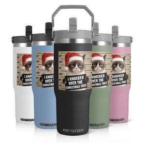 Funny Cat Mugshot Christmas Flip Straw Tumbler I Will Protect You Kitten No Matter What TS14 Print Your Wear