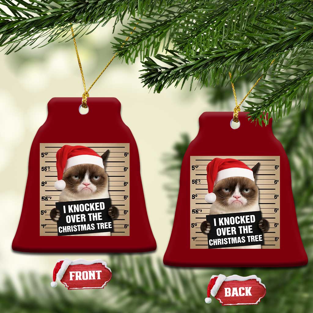 Funny Cat Mugshot Xmas Ceramic Ornament I Will Protect You Kitten No Matter What TS14 Print Your Wear