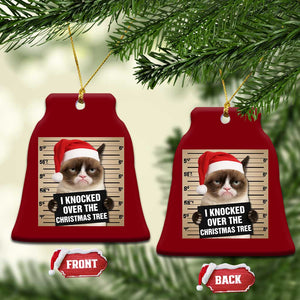 Funny Cat Mugshot Xmas Ceramic Ornament I Will Protect You Kitten No Matter What TS14 Print Your Wear