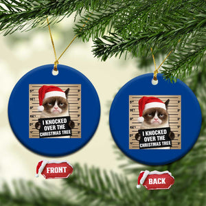Funny Cat Mugshot Xmas Ceramic Ornament I Will Protect You Kitten No Matter What TS14 1pc Blue Print Your Wear