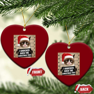 Funny Cat Mugshot Xmas Ceramic Ornament I Will Protect You Kitten No Matter What TS14 Print Your Wear