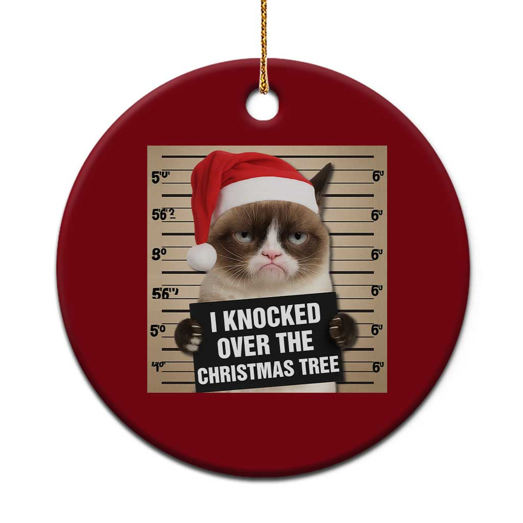 Funny Cat Mugshot Xmas Ceramic Ornament I Will Protect You Kitten No Matter What TS14 1pc Red Print Your Wear