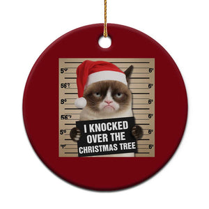 Funny Cat Mugshot Xmas Ceramic Ornament I Will Protect You Kitten No Matter What TS14 1pc Red Print Your Wear