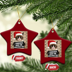 Funny Cat Mugshot Xmas Ceramic Ornament I Will Protect You Kitten No Matter What TS14 Print Your Wear