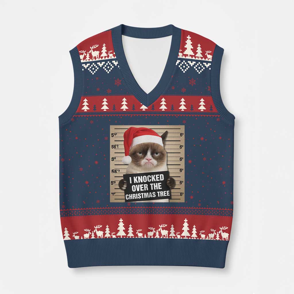 Funny Cat Mugshot Xmas V-Neck Knit Sweater Vest I Will Protect You Kitten No Matter What TS14 Navy Red Print Your Wear