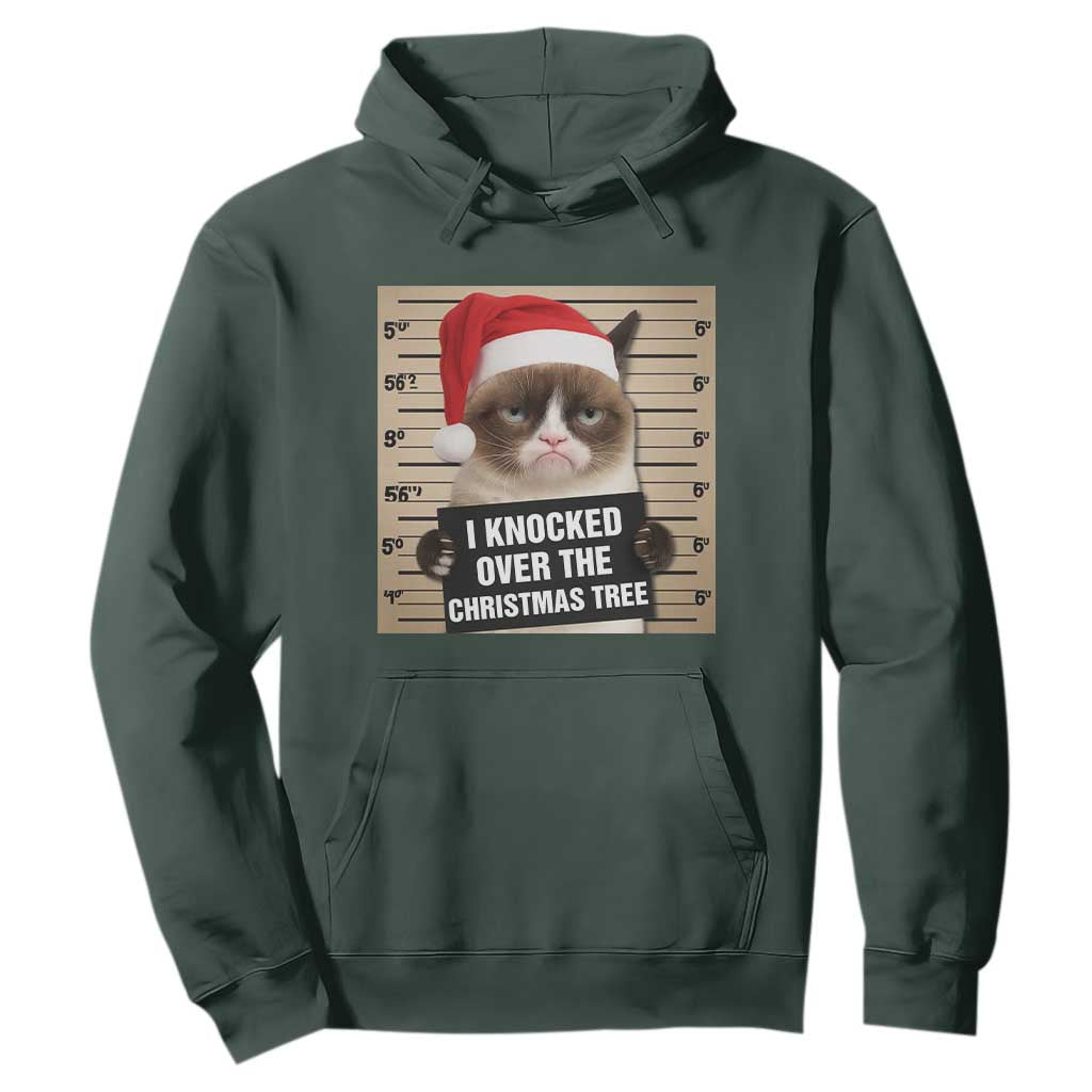 Funny Cat Mugshot Christmas Hoodie I Will Protect You Kitten No Matter What TS14 Dark Forest Green Print Your Wear