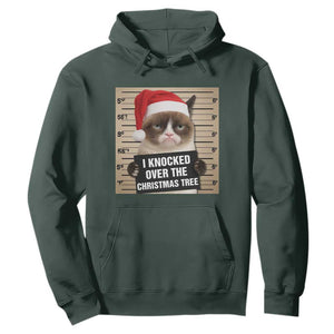 Funny Cat Mugshot Christmas Hoodie I Will Protect You Kitten No Matter What TS14 Dark Forest Green Print Your Wear