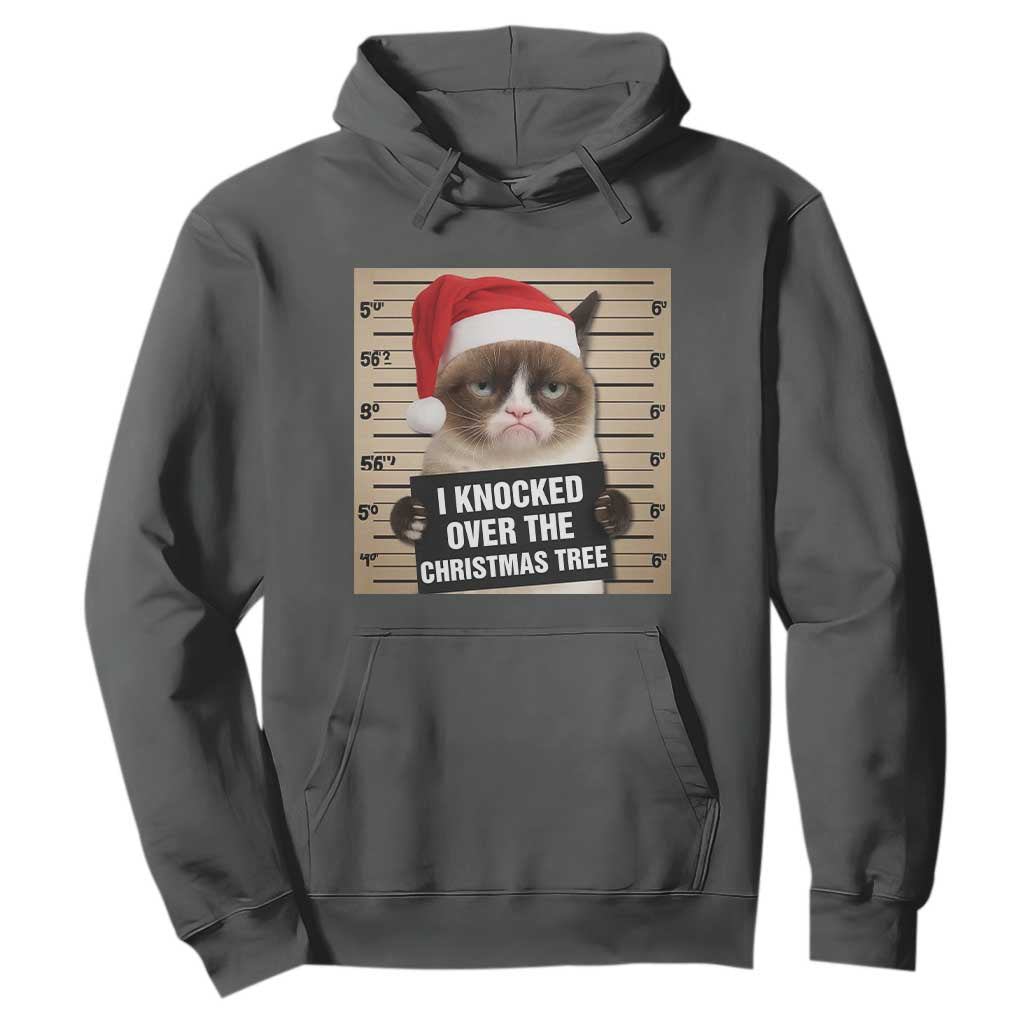 Funny Cat Mugshot Christmas Hoodie I Will Protect You Kitten No Matter What TS14 Dark Heather Print Your Wear