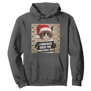 Funny Cat Mugshot Christmas Hoodie I Will Protect You Kitten No Matter What TS14 Dark Heather Print Your Wear