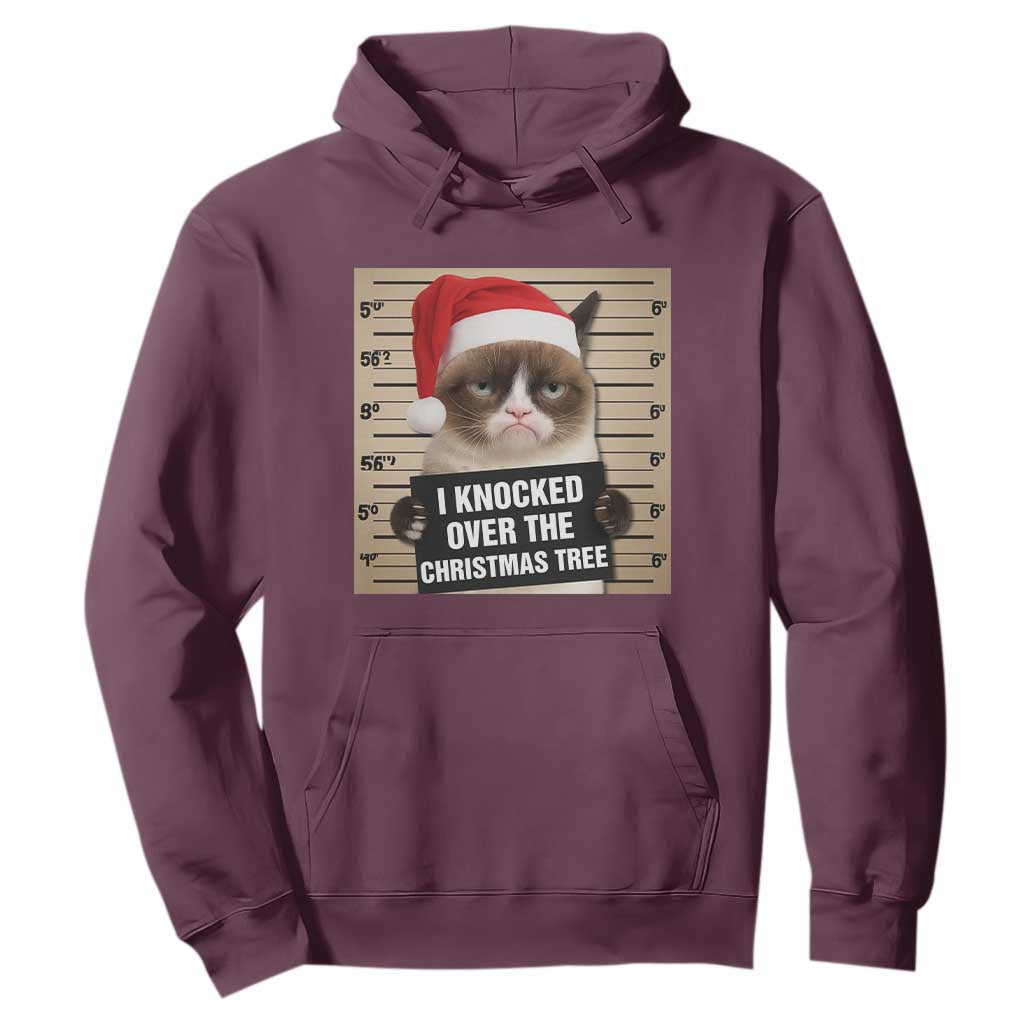 Funny Cat Mugshot Christmas Hoodie I Will Protect You Kitten No Matter What TS14 Maroon Print Your Wear