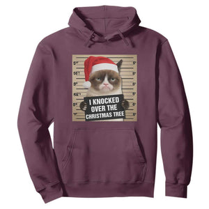 Funny Cat Mugshot Christmas Hoodie I Will Protect You Kitten No Matter What TS14 Maroon Print Your Wear