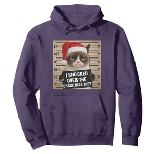 Funny Cat Mugshot Christmas Hoodie I Will Protect You Kitten No Matter What TS14 Purple Print Your Wear