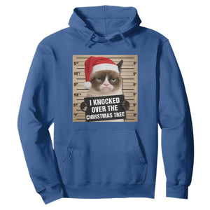Funny Cat Mugshot Christmas Hoodie I Will Protect You Kitten No Matter What TS14 Royal Blue Print Your Wear