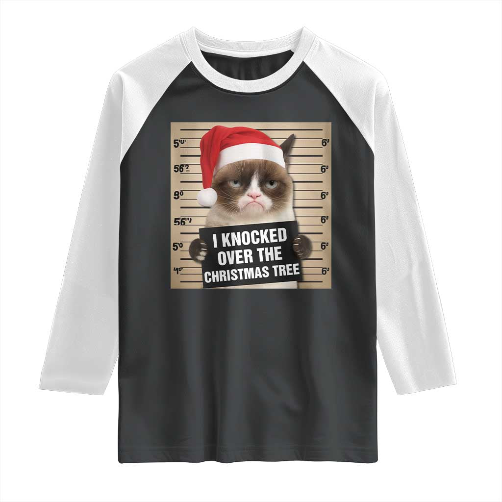 Funny Cat Mugshot Christmas Raglan Shirt I Will Protect You Kitten No Matter What TS14 Black White Print Your Wear
