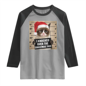 Funny Cat Mugshot Christmas Raglan Shirt I Will Protect You Kitten No Matter What TS14 Sport Gray Black Print Your Wear